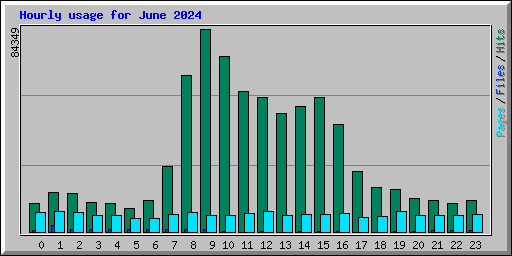 Hourly usage for June 2024