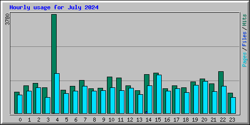 Hourly usage for July 2024