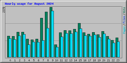 Hourly usage for August 2024