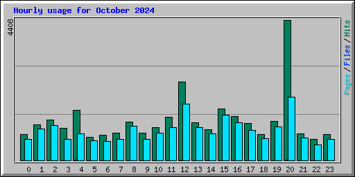 Hourly usage for October 2024