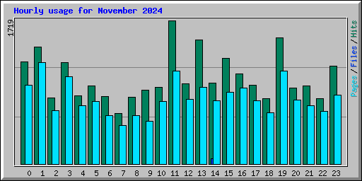 Hourly usage for November 2024