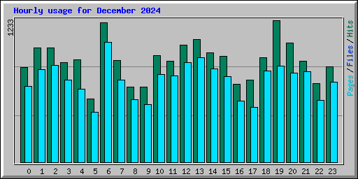 Hourly usage for December 2024