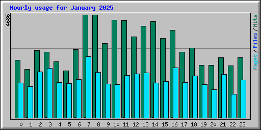 Hourly usage for January 2025